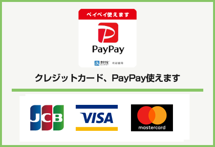 カード決済PayPay